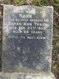 image of grave number 379981